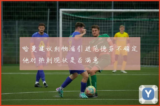 哈曼建议利物浦引进范德芬不确定他对热刺现状是否满意