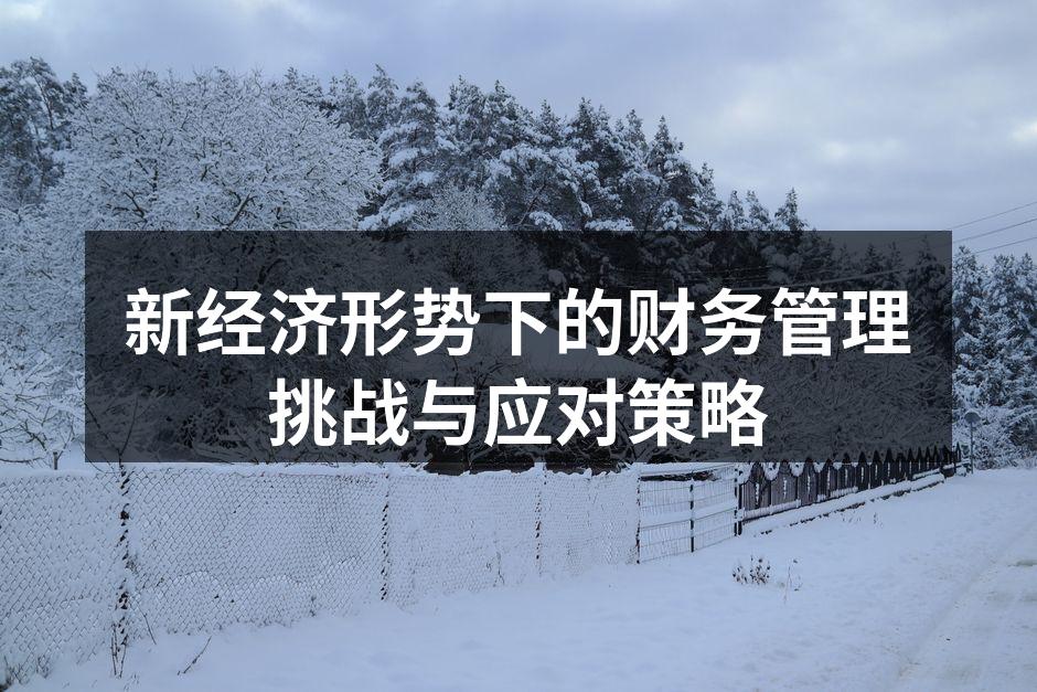 新经济形势下的财务管理概述