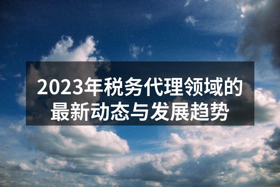 税务代理服务流程示意图