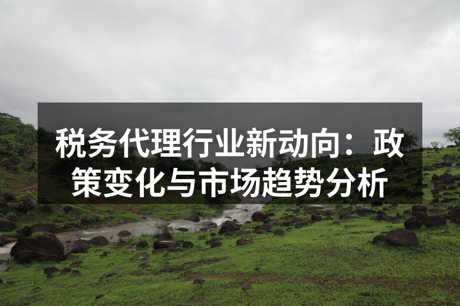 税务代理团队在进行专业咨询
